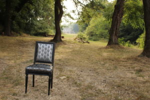fabien-godrie-chaise-louis-xvi-palmer